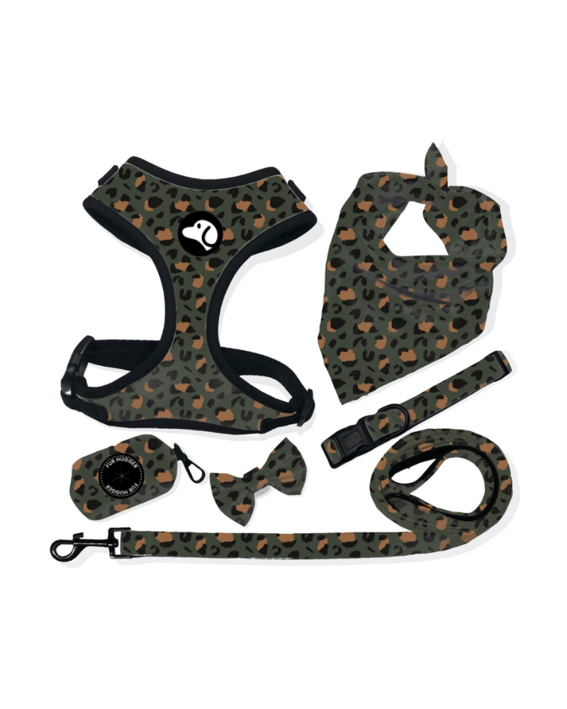 Dog Harness Leash Walk Set-Leopard