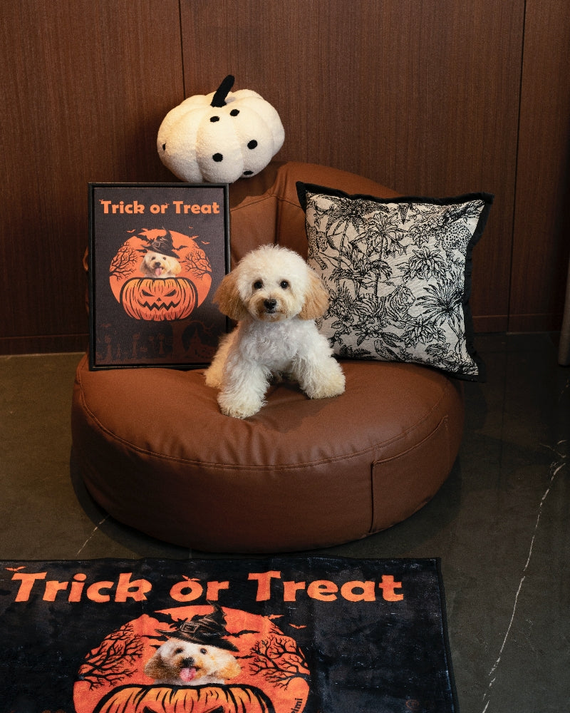 "Trick or Treat" Halloween Cat And Dog Personalized Portait & Doormat