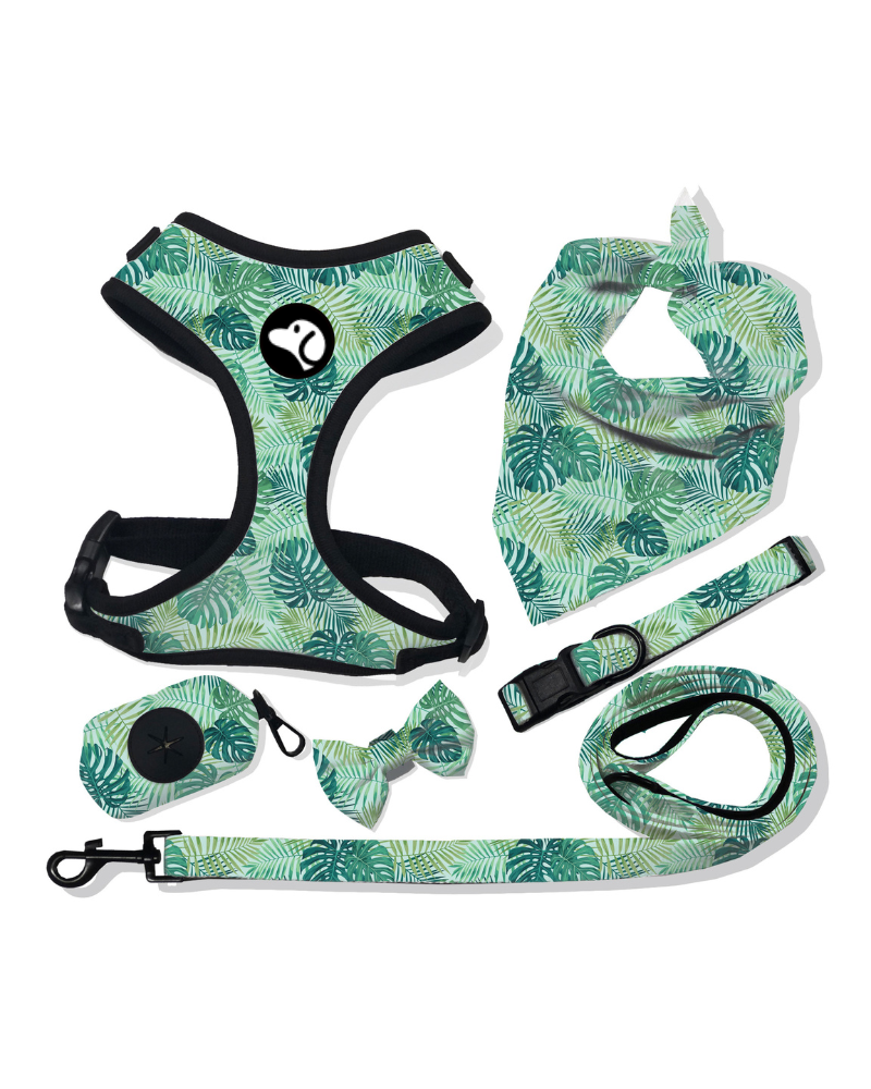 Dog Harness Leash Walk Set-Rainforest