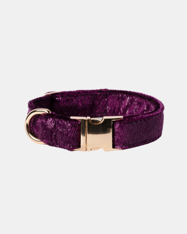 Handmade Dog Collar- Majestic Orchid