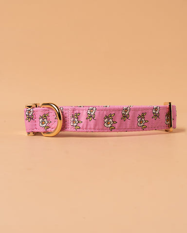 Handmade Dog Collar -Floral Delight