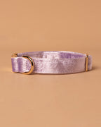 Handmade Dog Collar- Purple Galaxy