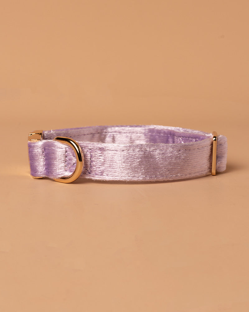 Handmade Dog Collar- Purple Galaxy