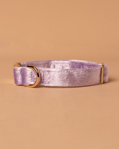 Handmade Dog Collar- Purple Galaxy