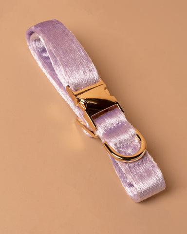 Handmade Dog Collar- Purple Galaxy