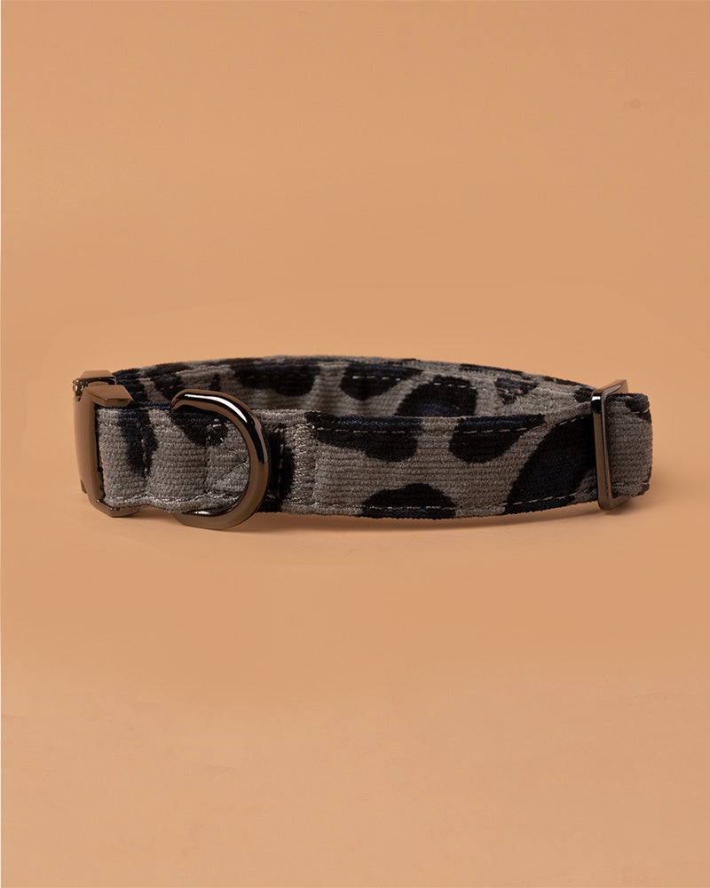 Handmade Dog Collar- Wild Leopard