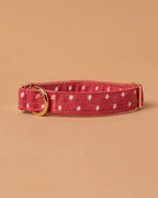 Handmade Dog Collar- Polka Dots