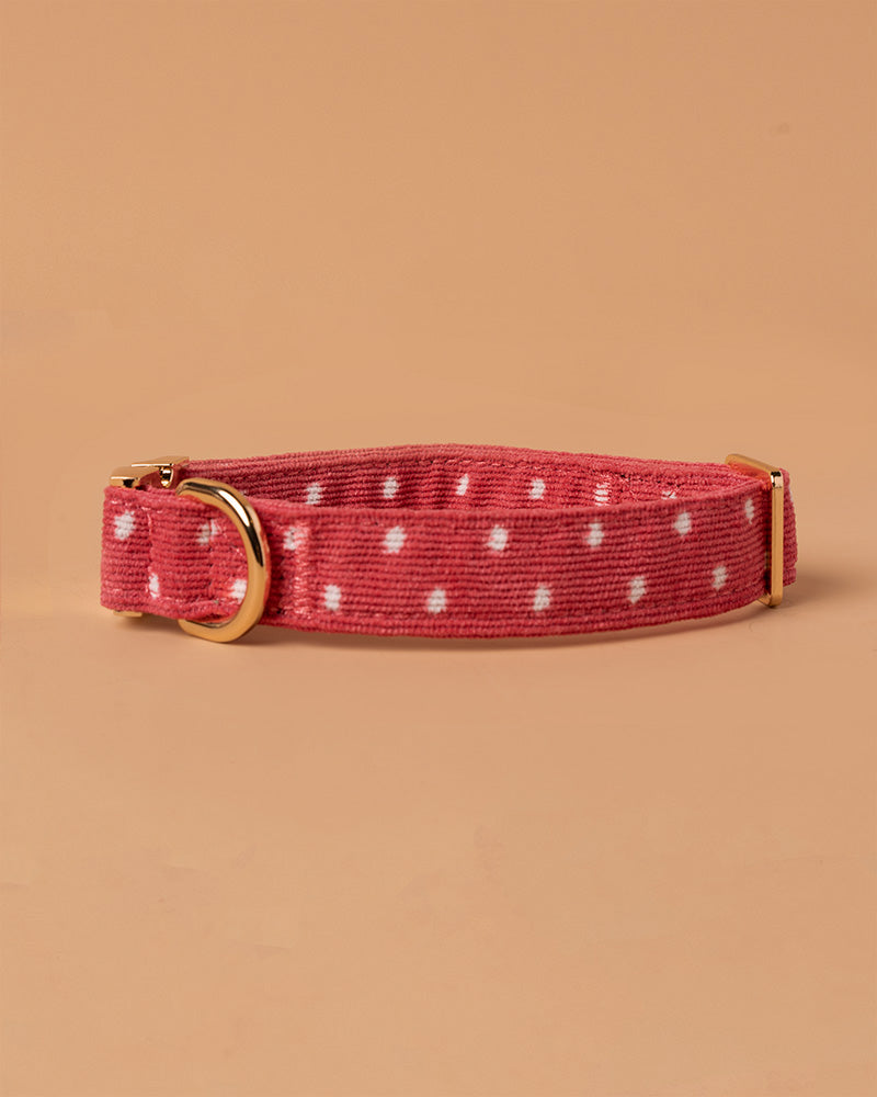 Handmade Dog Collar- Polka Dots