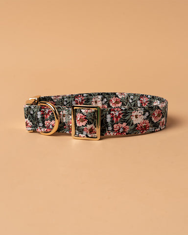 Handmade Dog Collar - Blossom Bliss