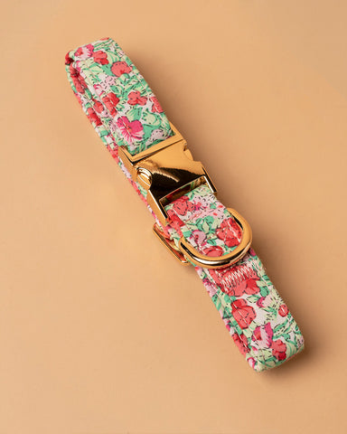 Handmade Dog Collar-Rose Garden