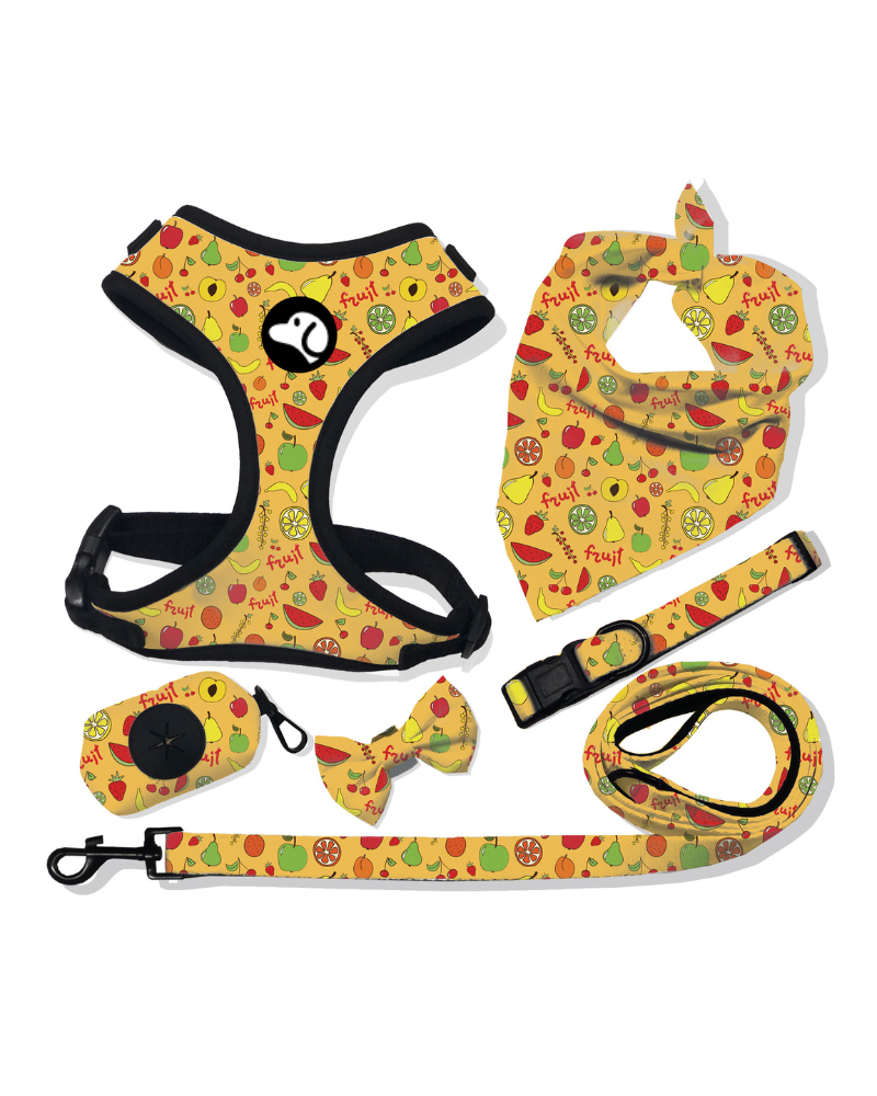 Dog Harness Leash Walk Set-Vibrant Fruit