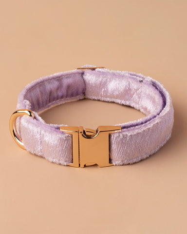 Handmade Dog Collar- Purple Galaxy