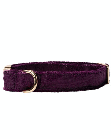 Handmade Dog Collar- Majestic Orchid