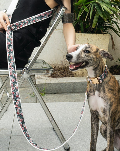 Handmade Dog Collar - Blossom Bliss